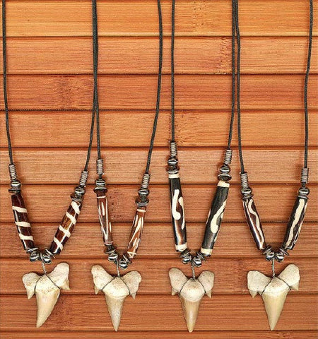 Charming Shark Shark Tooth With Bone Beads