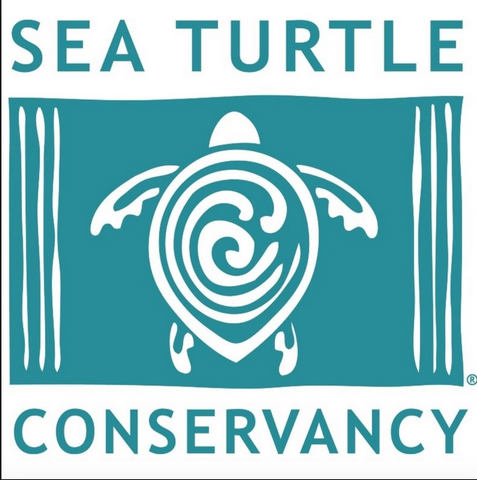 Sebastian Inlet Surfing Turtle Women's Boyfriend Tee