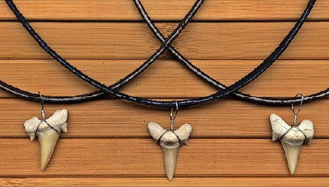 Charming Shark Shark Tooth Necklace on Suede Cord